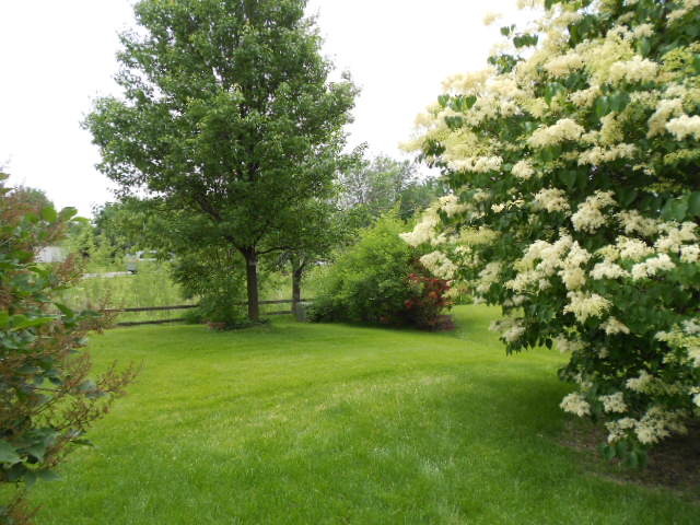 454 Prairieview Drive Oswego, IL 60543 - Photo 14 of 14 a view of a field of a house