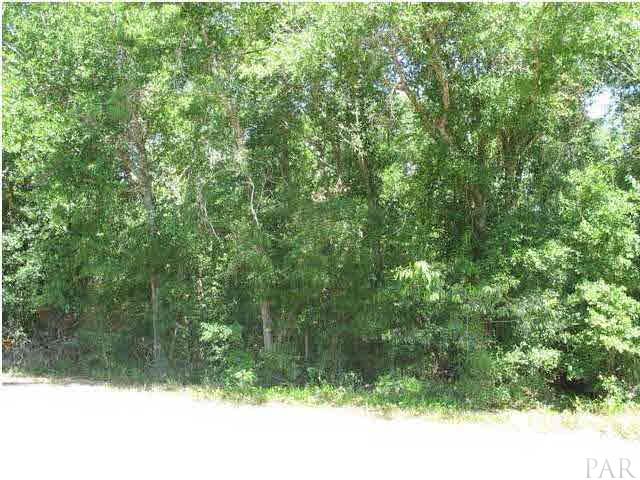 10294 West Lake Road Milton, FL 32583 - Photo 3 of 3 Gallery Image 3