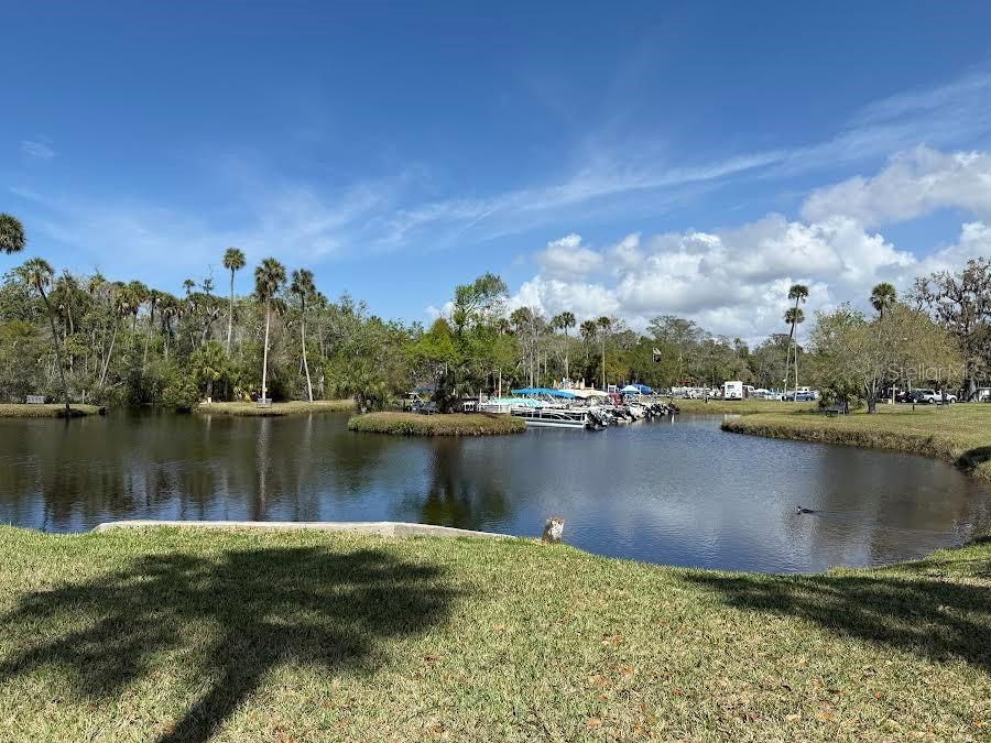 5168 Rubber Tree Circle New Port Richey, FL 34653 - Photo 33 of 36 a view of a lake with houses
