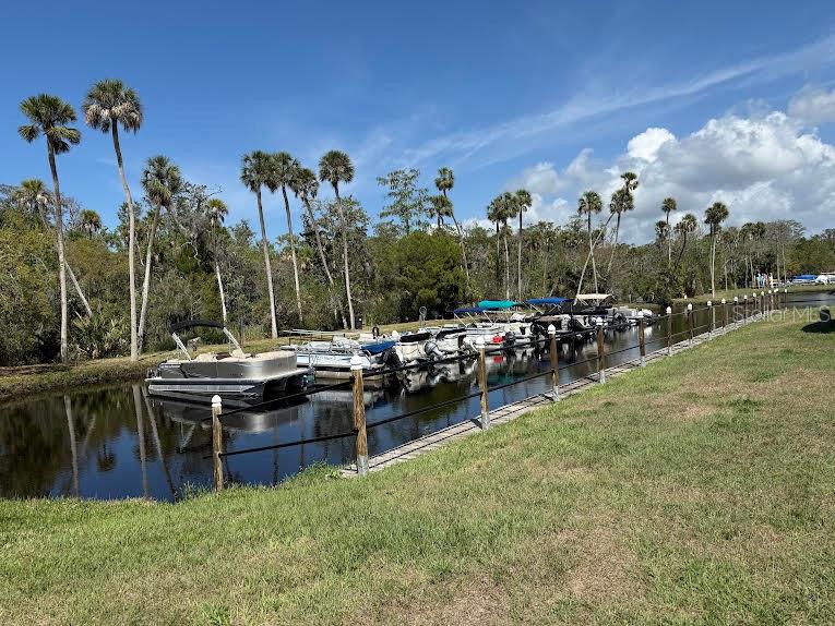 5168 Rubber Tree Circle New Port Richey, FL 34653 - Photo 36 of 36 a view of a garden