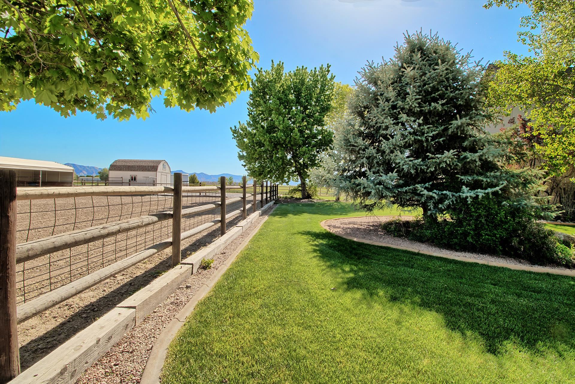 2302 Outback Ridge Road Grand Junction, CO 81505 - Photo 8 of 42 a view of a yard with large trees