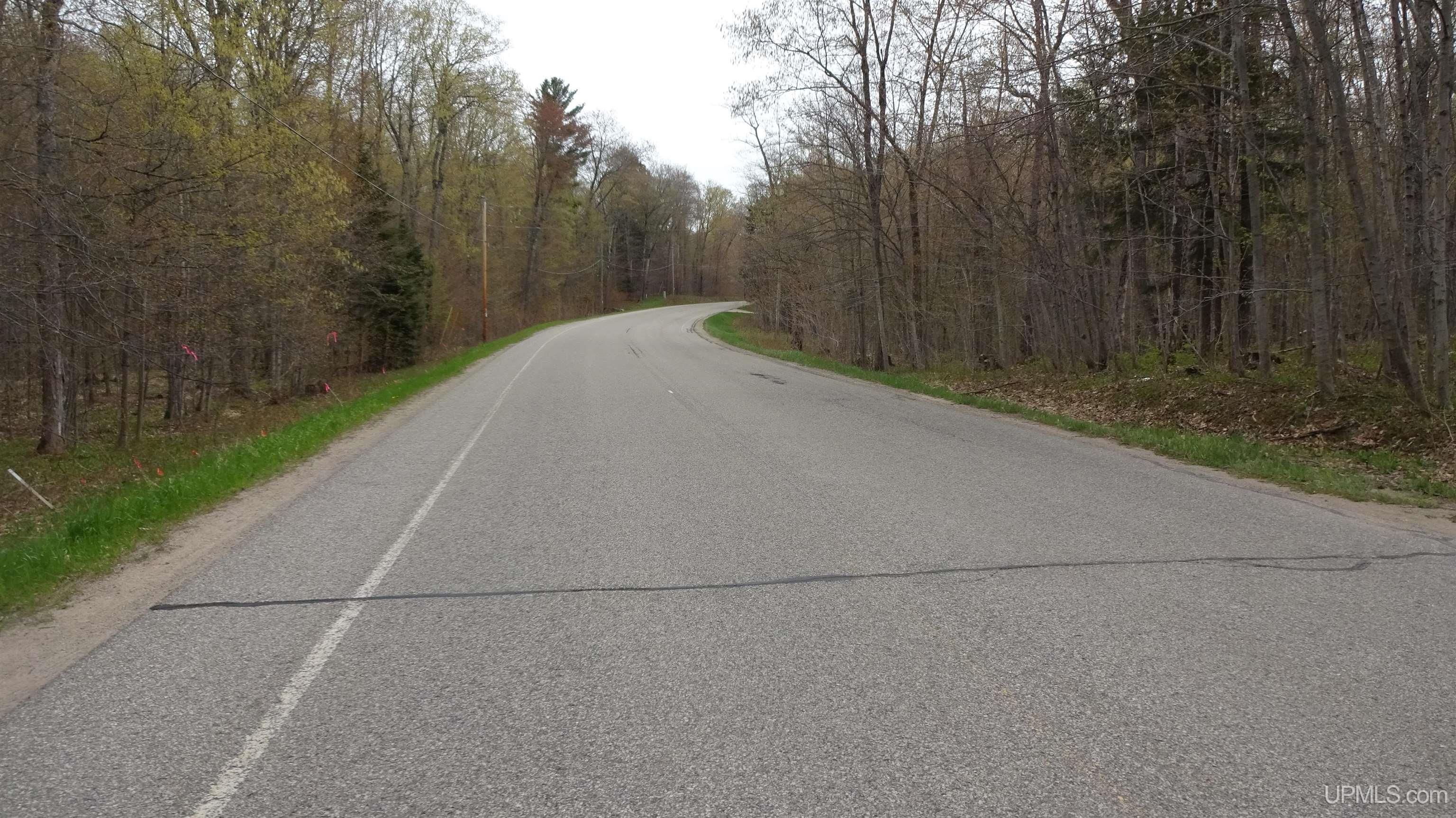Tbd Autrain Forest Lake Road Au Train, MI 49806 - Photo 8 of 15