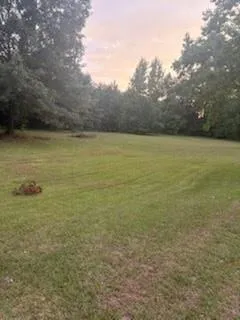 a backyard of a house with lots of green space and fountain