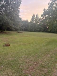 1219 Canal Street Ringgold, LA 71068 - Photo 11 of 14 a view of an ocean