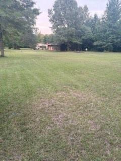 1219 Canal Street Ringgold, LA 71068 - Photo 10 of 14 a view of an ocean