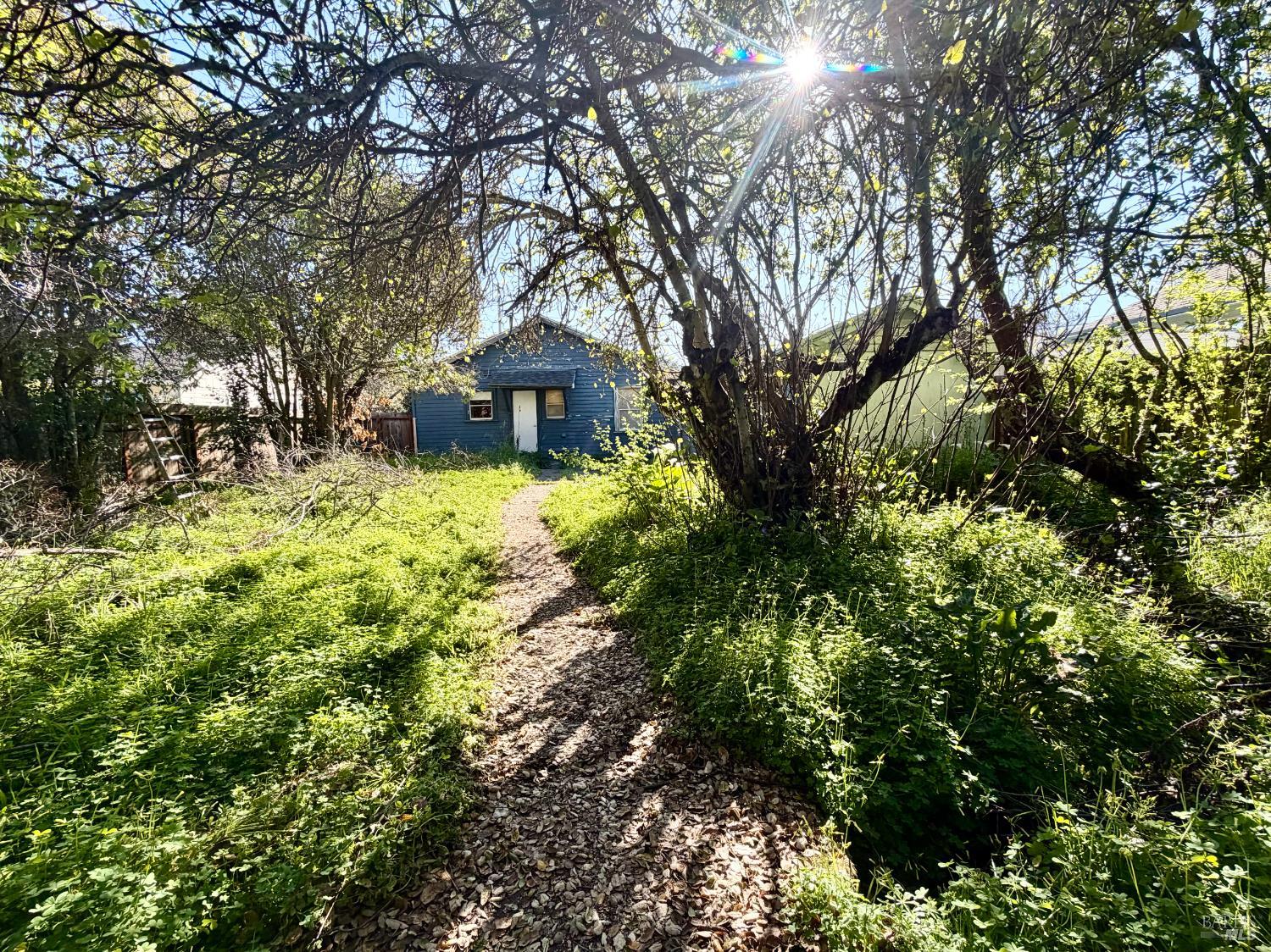 1045 4th Street Novato, CA 94945 - Photo 2 of 8