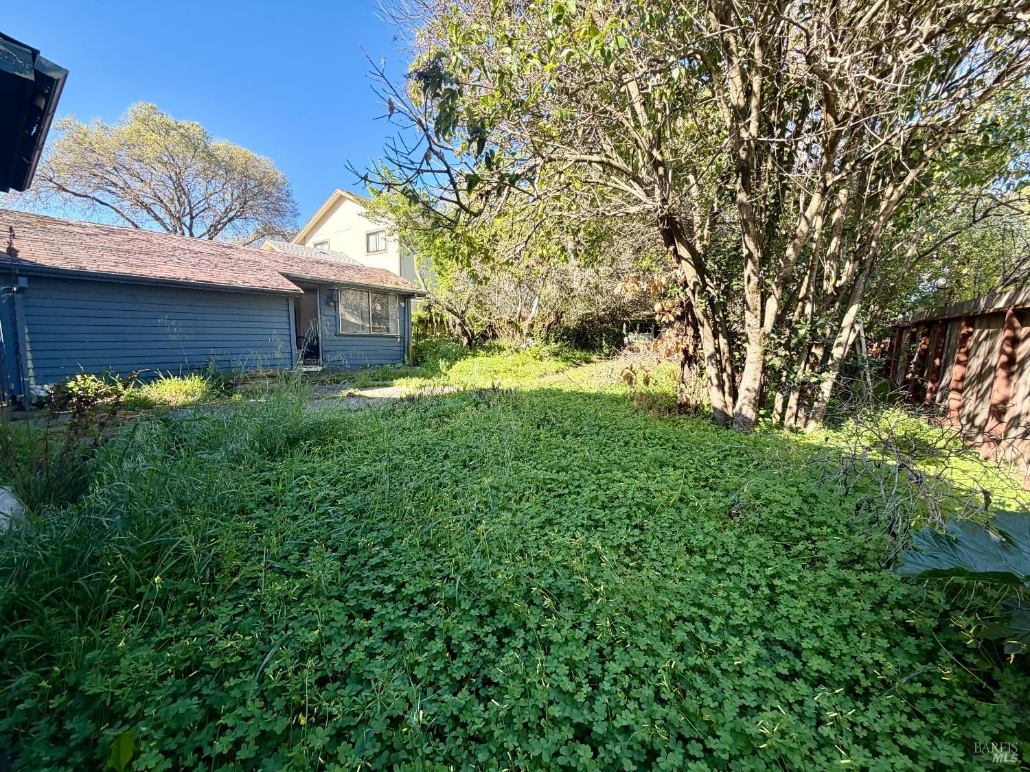 1045 4th Street Novato, CA 94945 - Photo 8 of 8