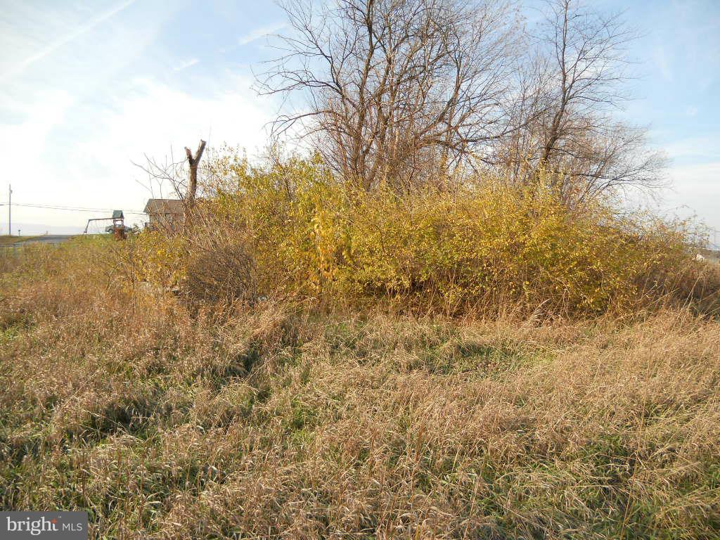1260 Hade Road Chambersburg, PA 17202 - Photo 4 of 5 Exterior (General)