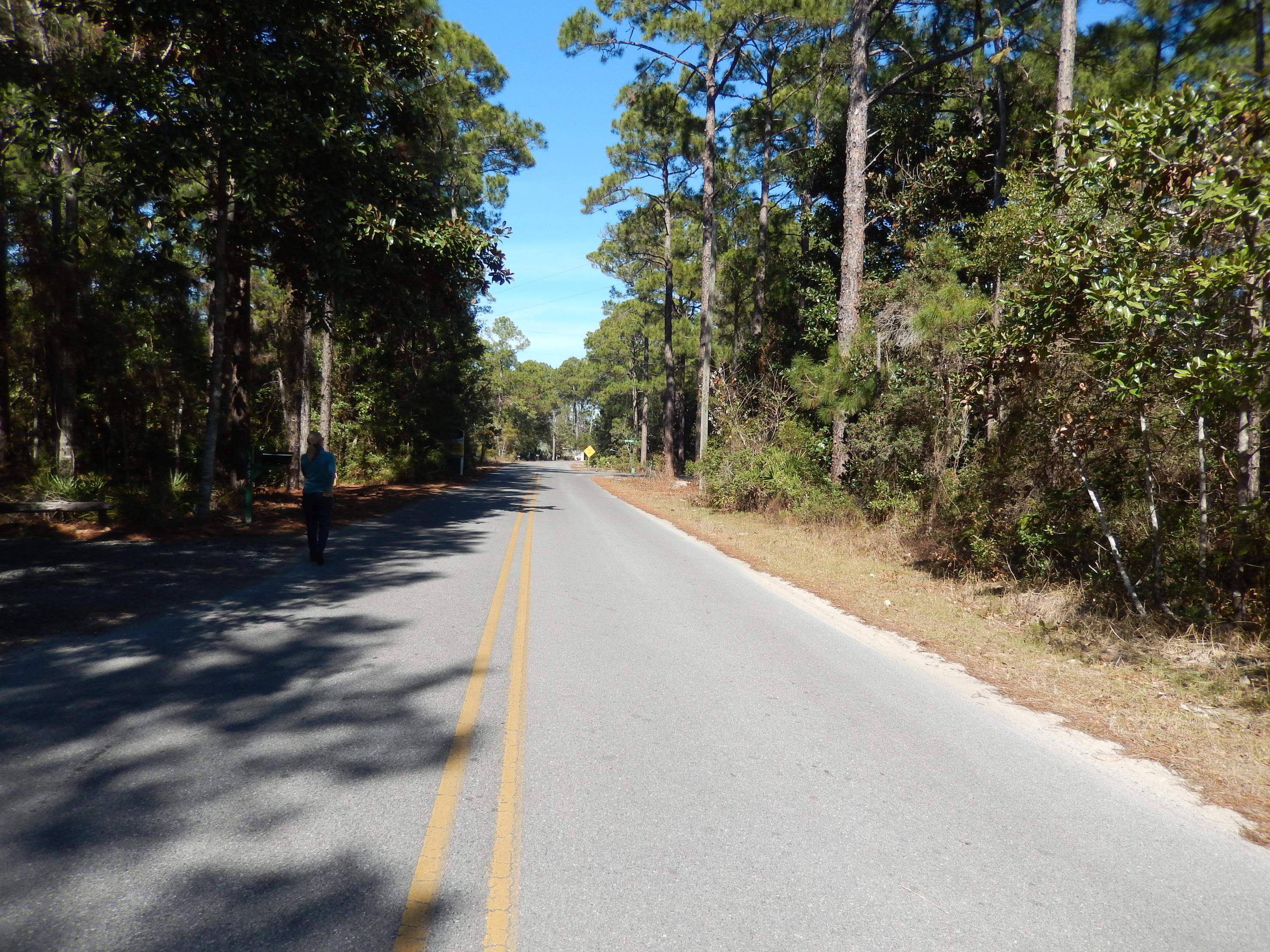 Lot West Hewett Road Santa Rosa Beach, FL 32459 - Photo 3 of 8 DSCN0410