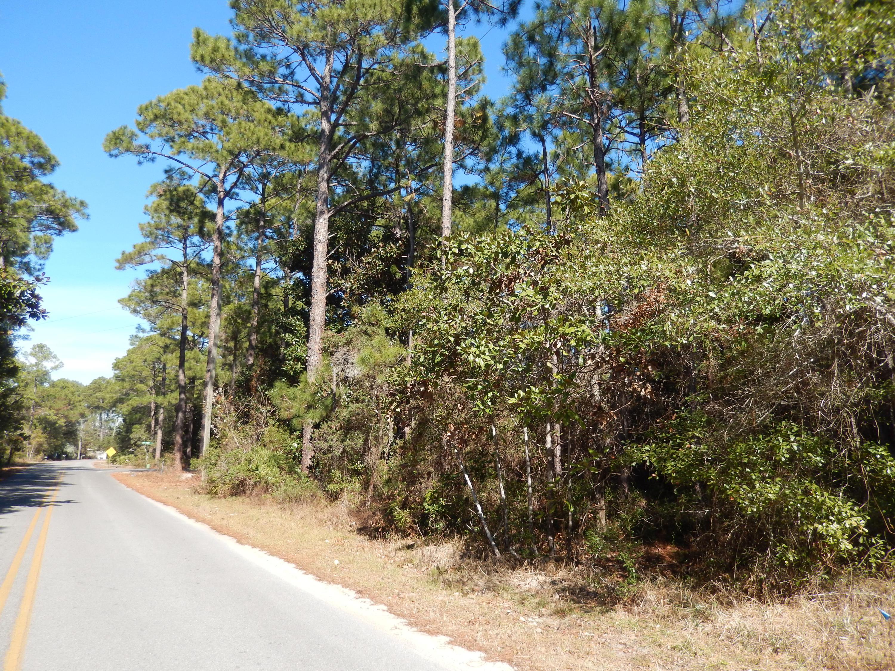 Lot West Hewett Road Santa Rosa Beach, FL 32459 - Photo 4 of 8 DSCN0409