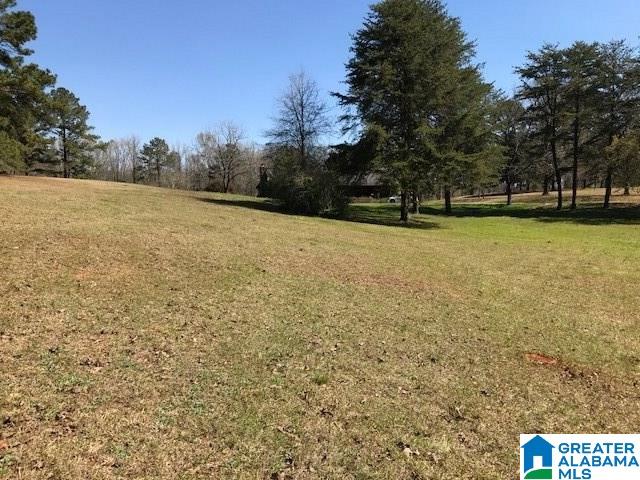 7015 Highway 71 Shelby, AL 35143 - Photo 4 of 50