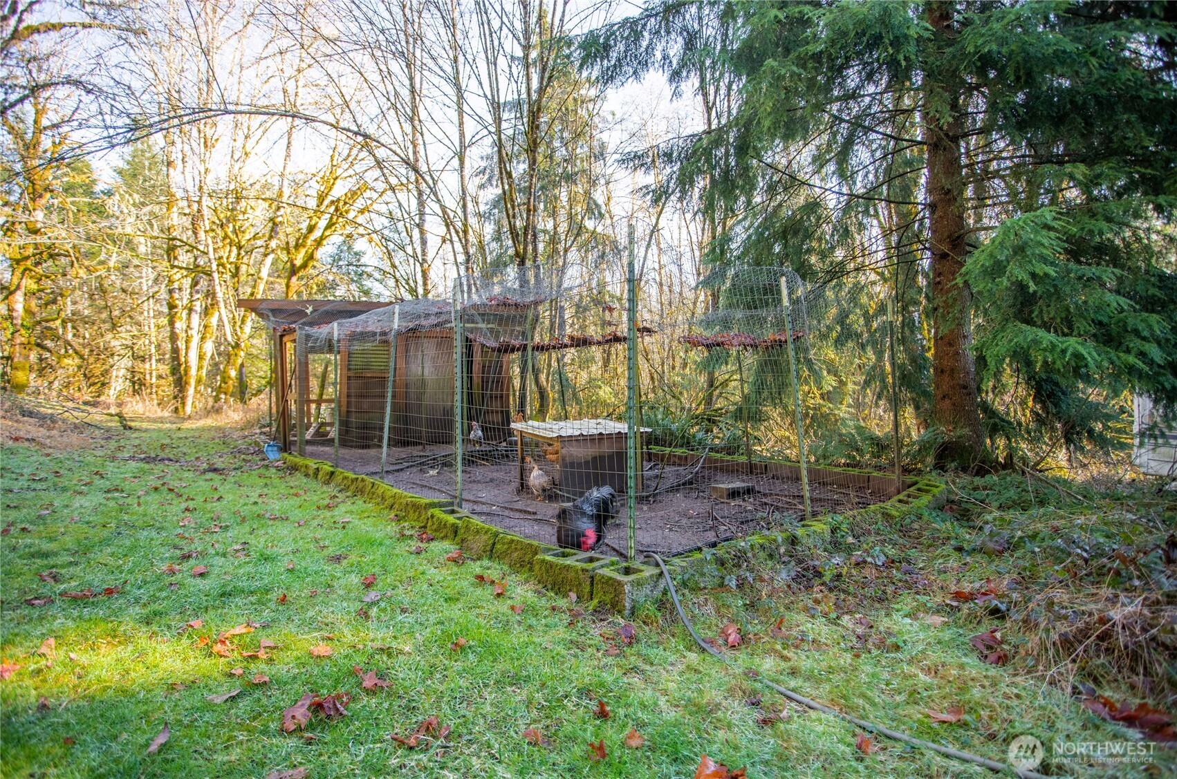 371 Pigeon Springs Road Onalaska, WA 98570 - Photo 28 of 39 front view of a house with a yard