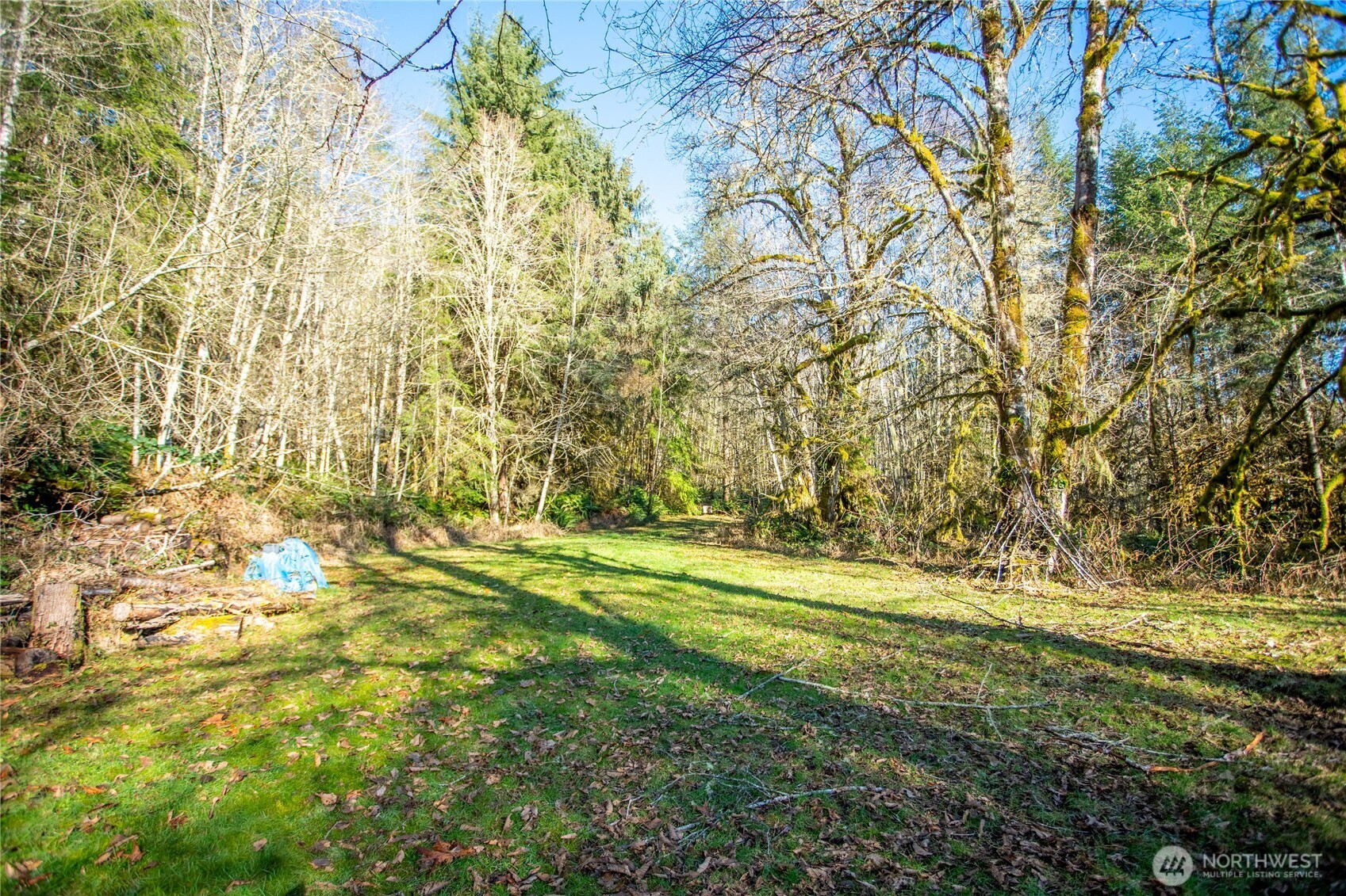 371 Pigeon Springs Road Onalaska, WA 98570 - Photo 29 of 39 a view of yard with green space and trees all around