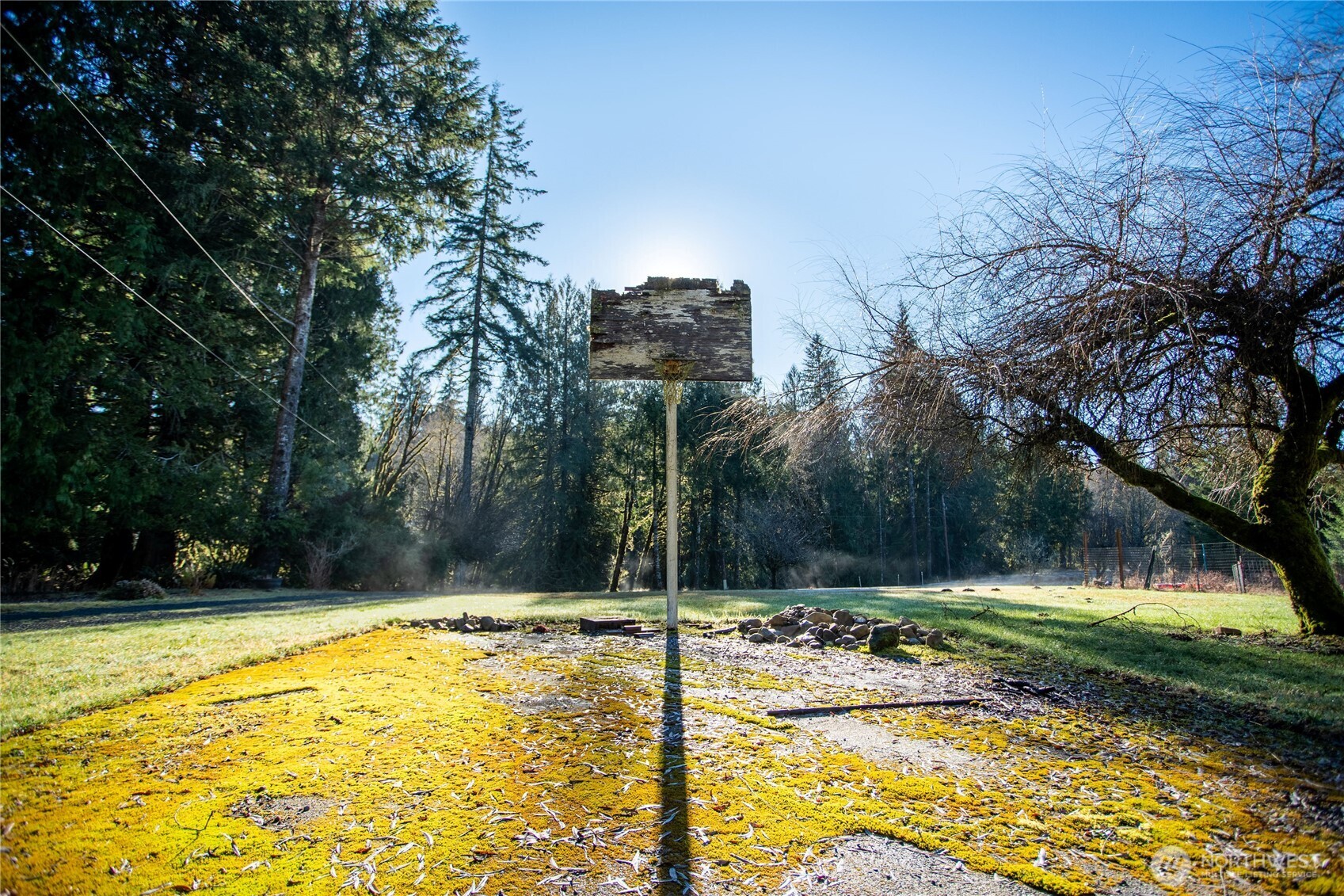 371 Pigeon Springs Road Onalaska, WA 98570 - Photo 35 of 39 a swimming pool with trees in the background