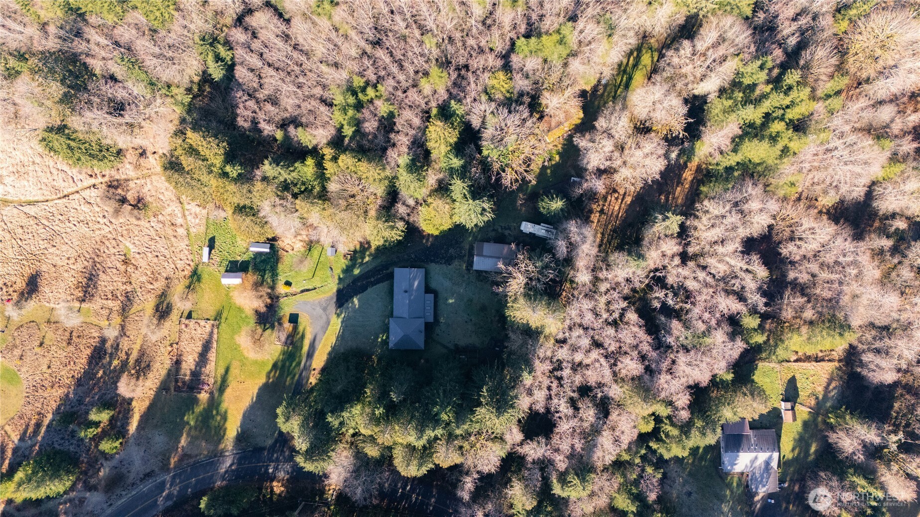 371 Pigeon Springs Road Onalaska, WA 98570 - Photo 37 of 39 a picture of tree