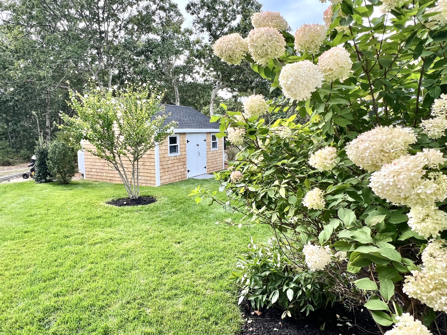 15 Night Heron Road Edgartown, MA 02539 - Photo 11 of 76