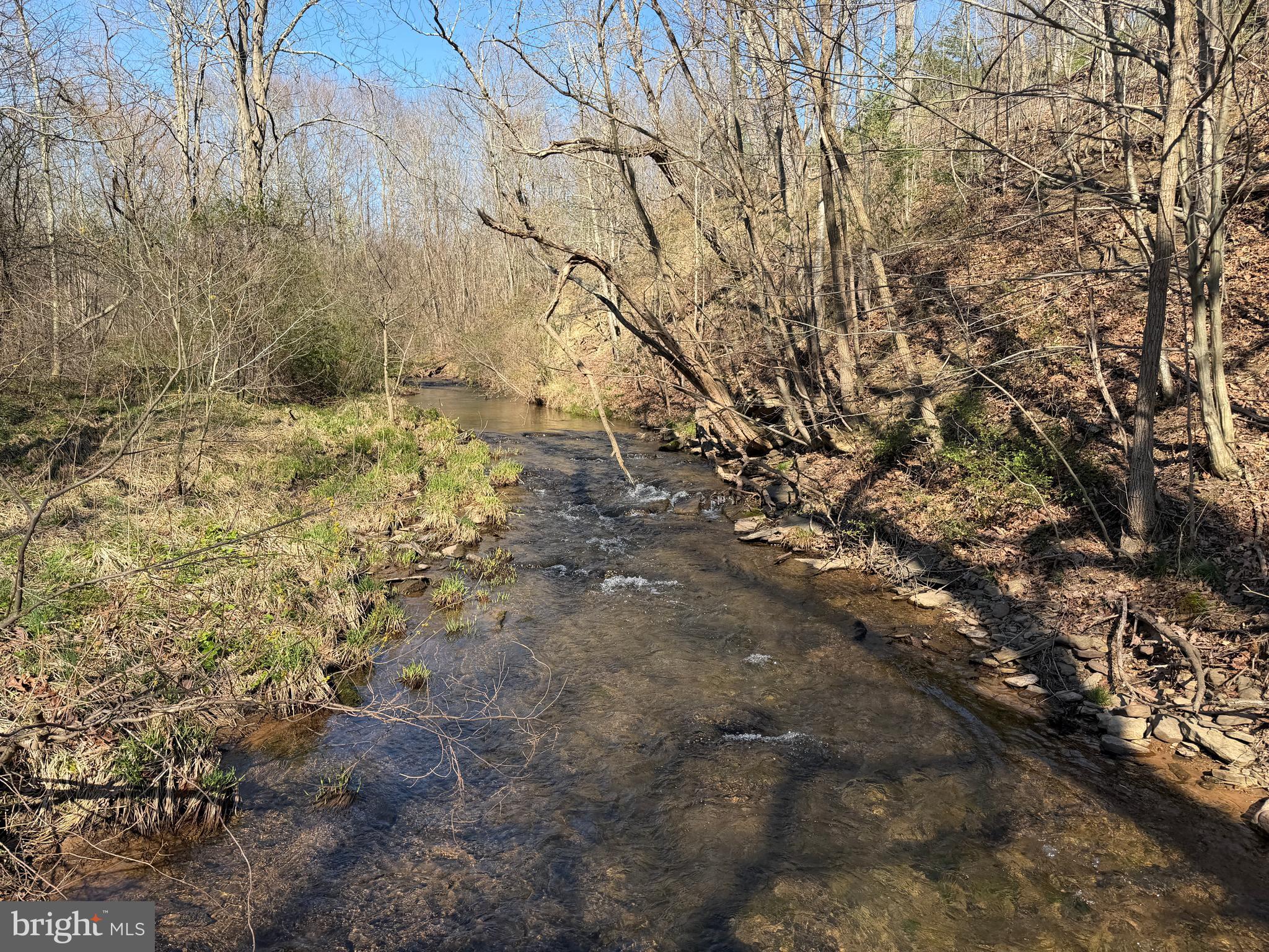 129-acres Black Hollow Road Schellsburg, PA 15559 - Photo 4 of 72