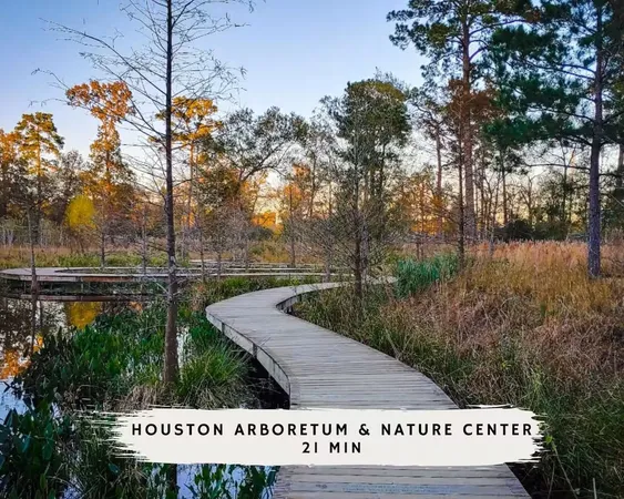 a view of a park that has large trees