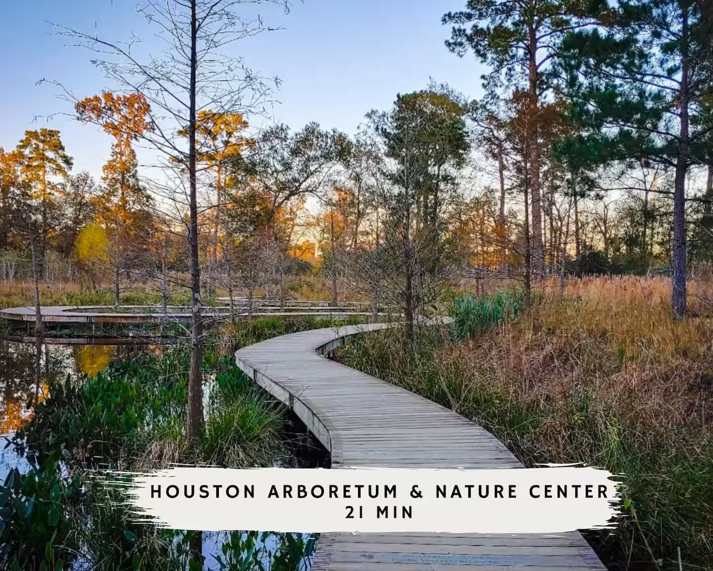 3311 Daphne Street Houston, TX 77021 - Photo 27 of 32