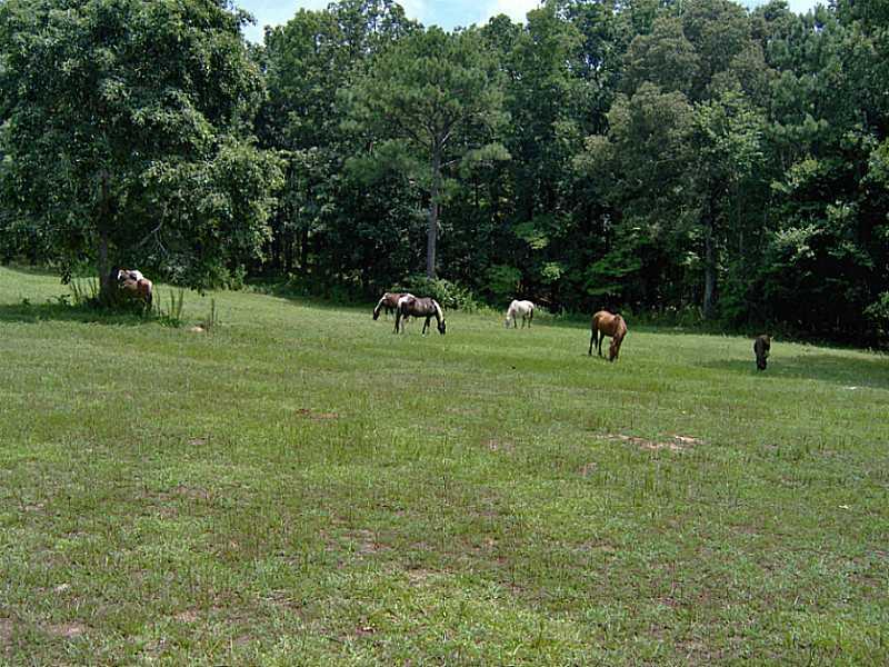 1683 Melear Road Bowdon, GA 30108 - Photo 1 of 1 View.
