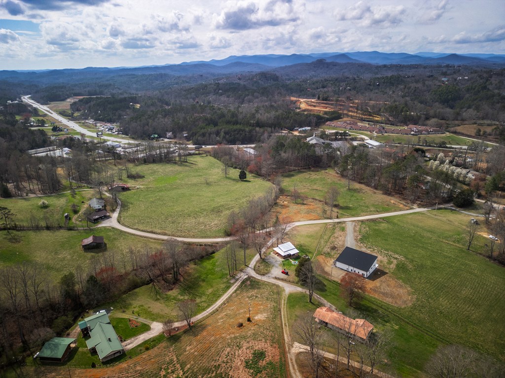 33 Harris Lane Blue Ridge, GA 30513 - Photo 29 of 31