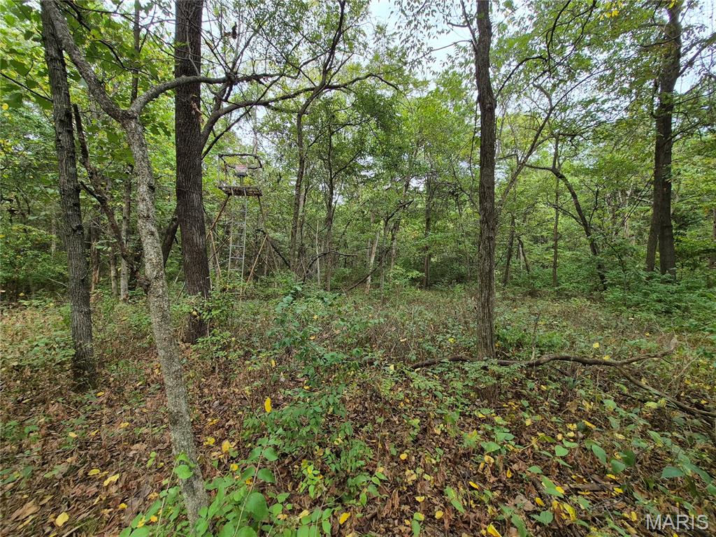 0 Russell Road Troy, MO 63379 - Photo 9 of 24 Gallery Image 9