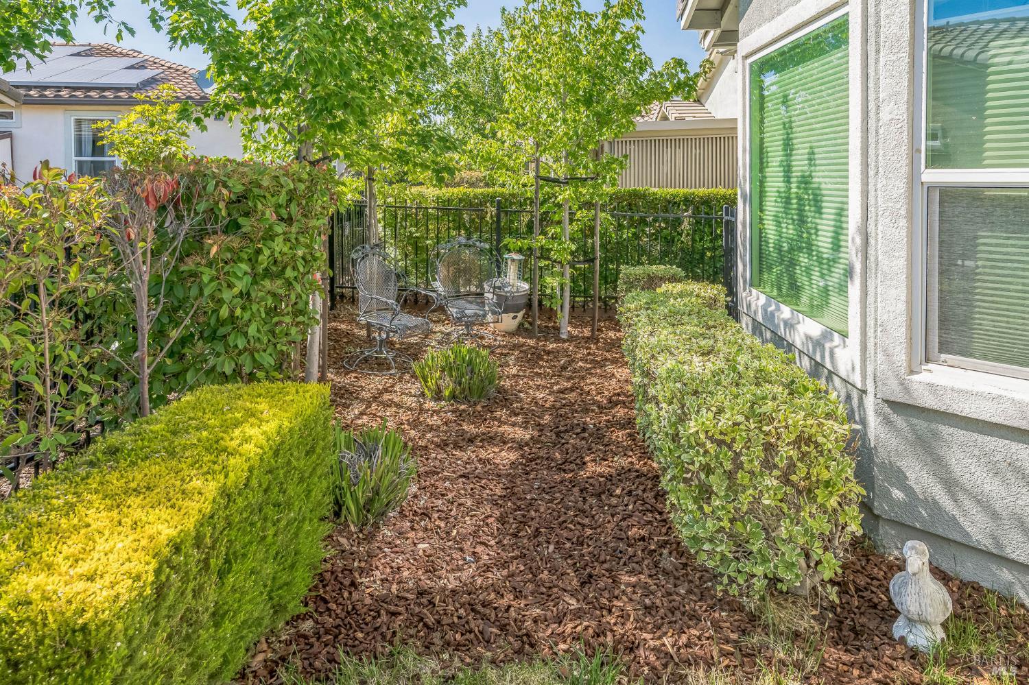 305 Birch Ridge Drive Rio Vista, CA 94571 - Photo 4 of 30 a view of yard with small fountain and large trees