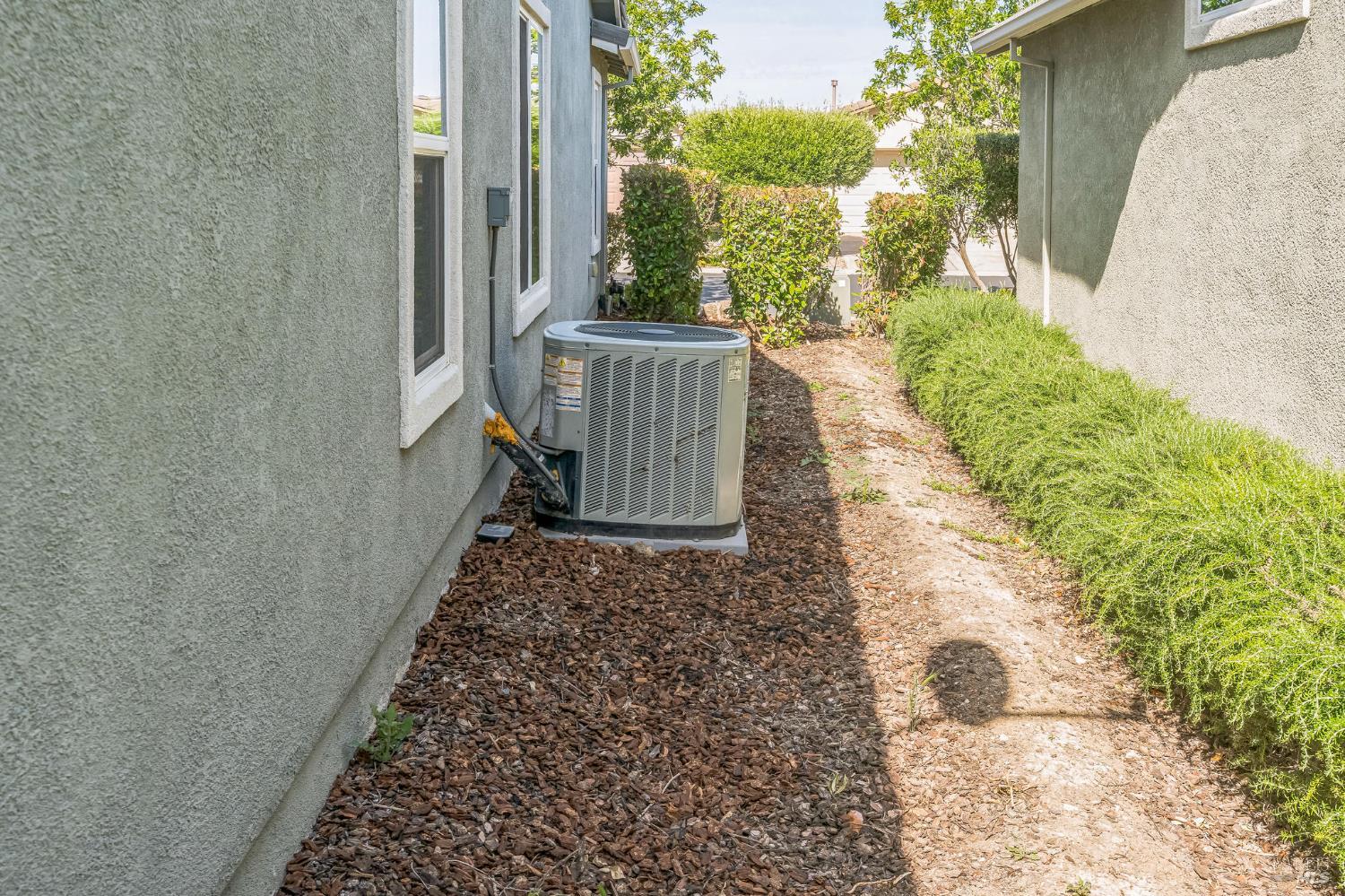 305 Birch Ridge Drive Rio Vista, CA 94571 - Photo 8 of 30 a view of a backyard with pathway