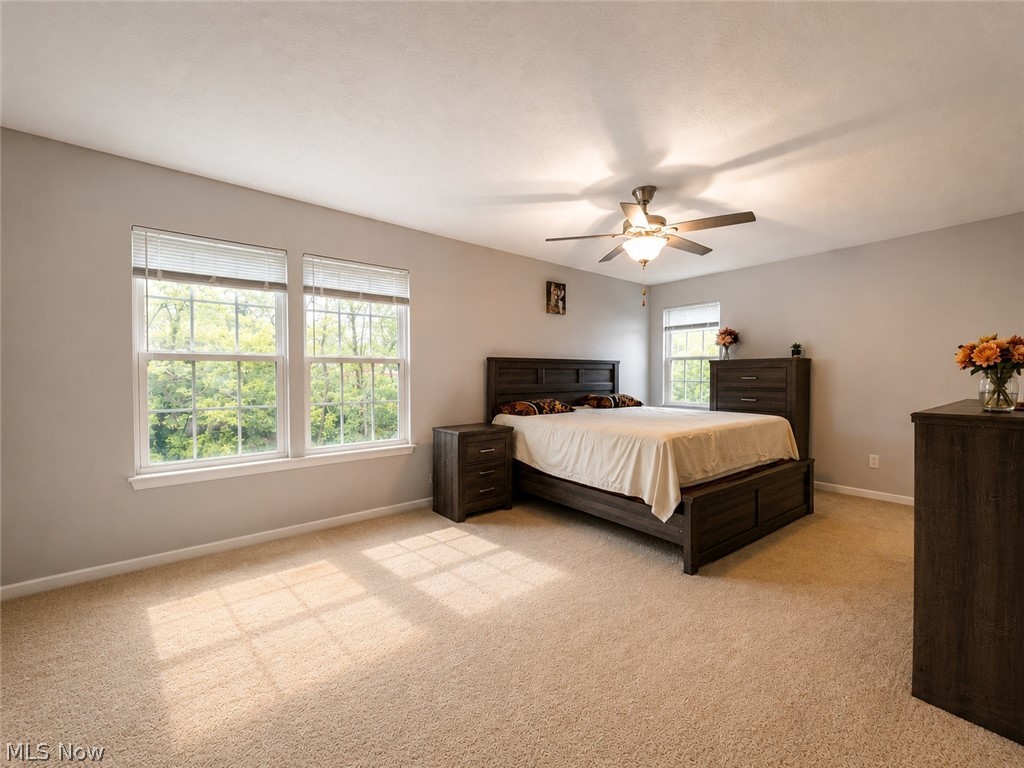 867 Starr Ridge Street Southeast Massillon, OH 44646 - Photo 16 of 29 Carpeted room with light gray walls, featuring multiple windows with blinds, a ceiling fan with integrated lighting, and a neutral color palette