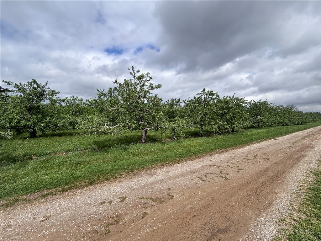 9319 Wesler Road New Paris, OH 45347 - Photo 84 of 99