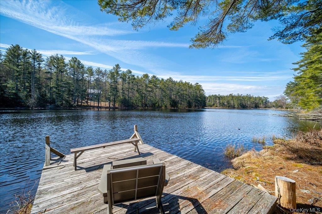 62 Stag Forest Road Forestburgh, NY 12777 - Photo 1 of 1 Dock area featuring a water view and a forest view
