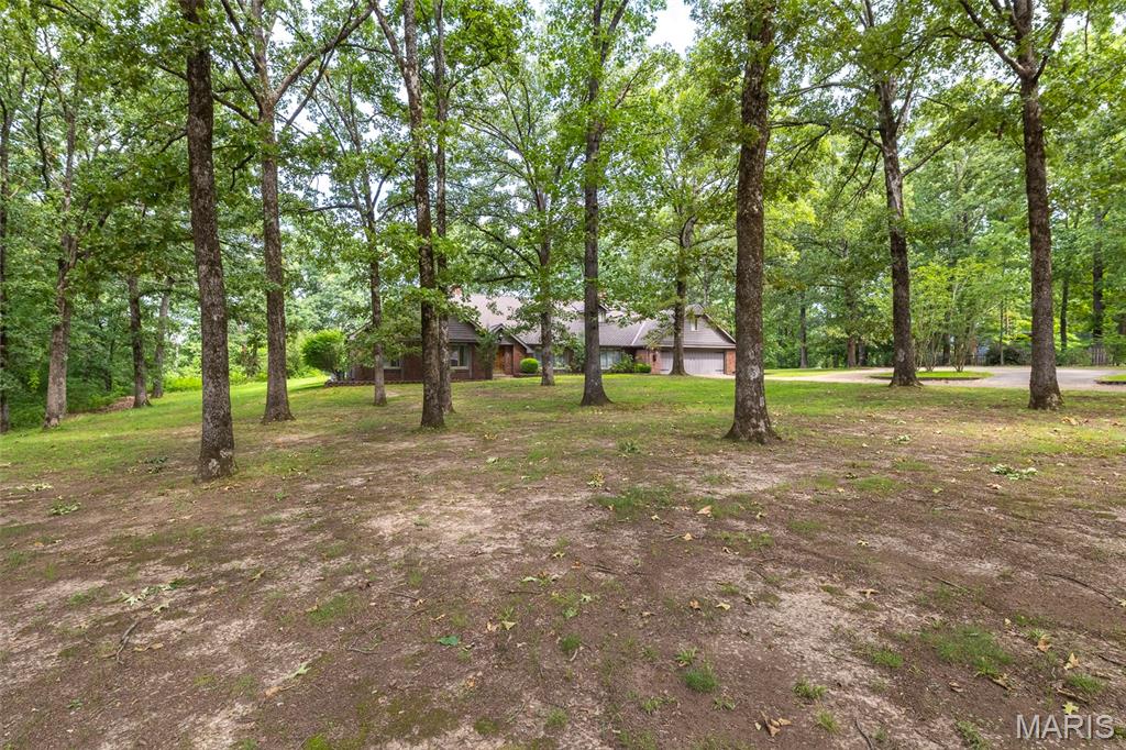 1301 Lurlyn Road Poplar Bluff, MO 63901 - Photo 49 of 52
