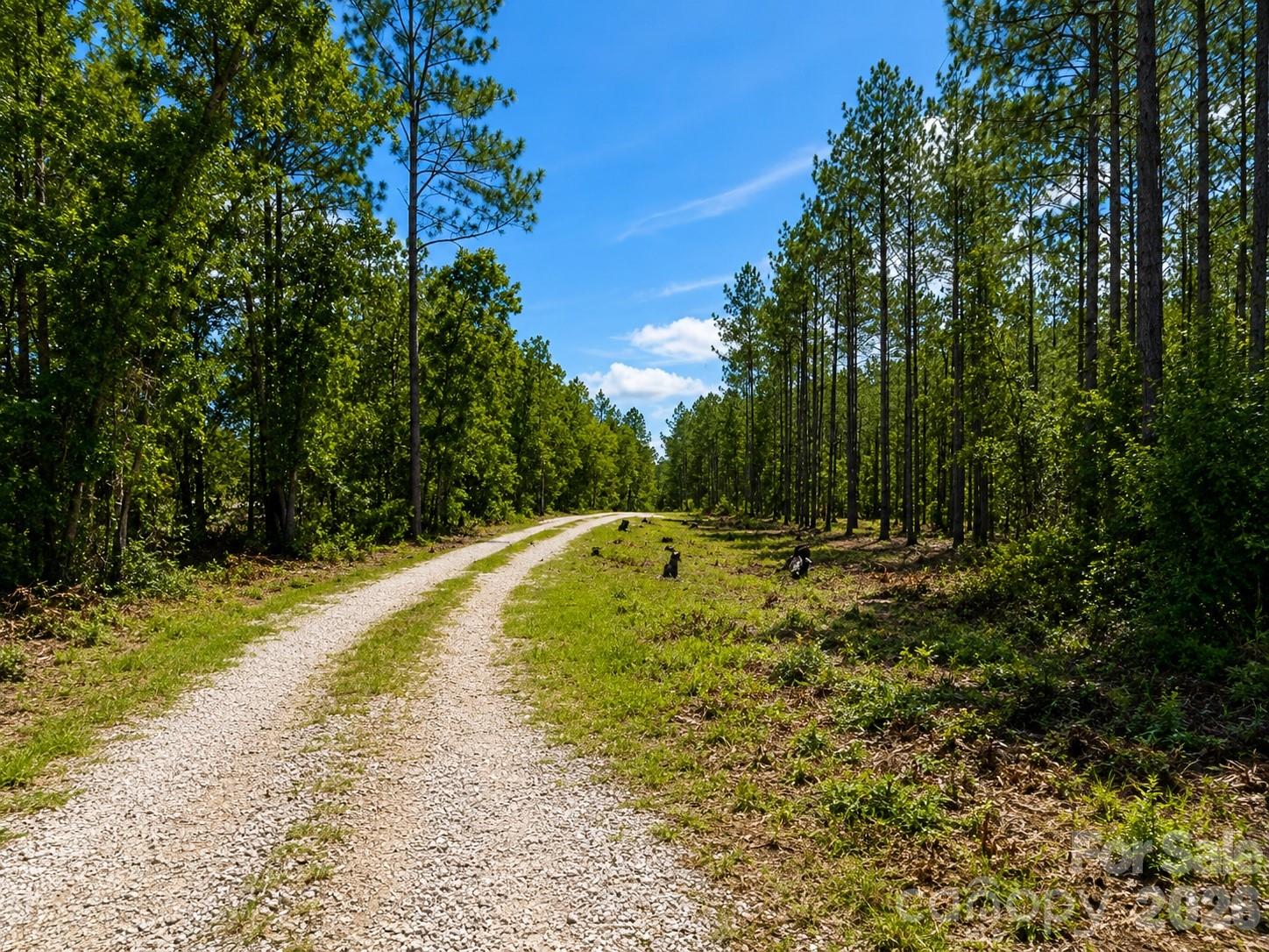 3203 Landfill Road Mount Croghan, SC 29727 - Photo 8 of 48 Gallery Image 8