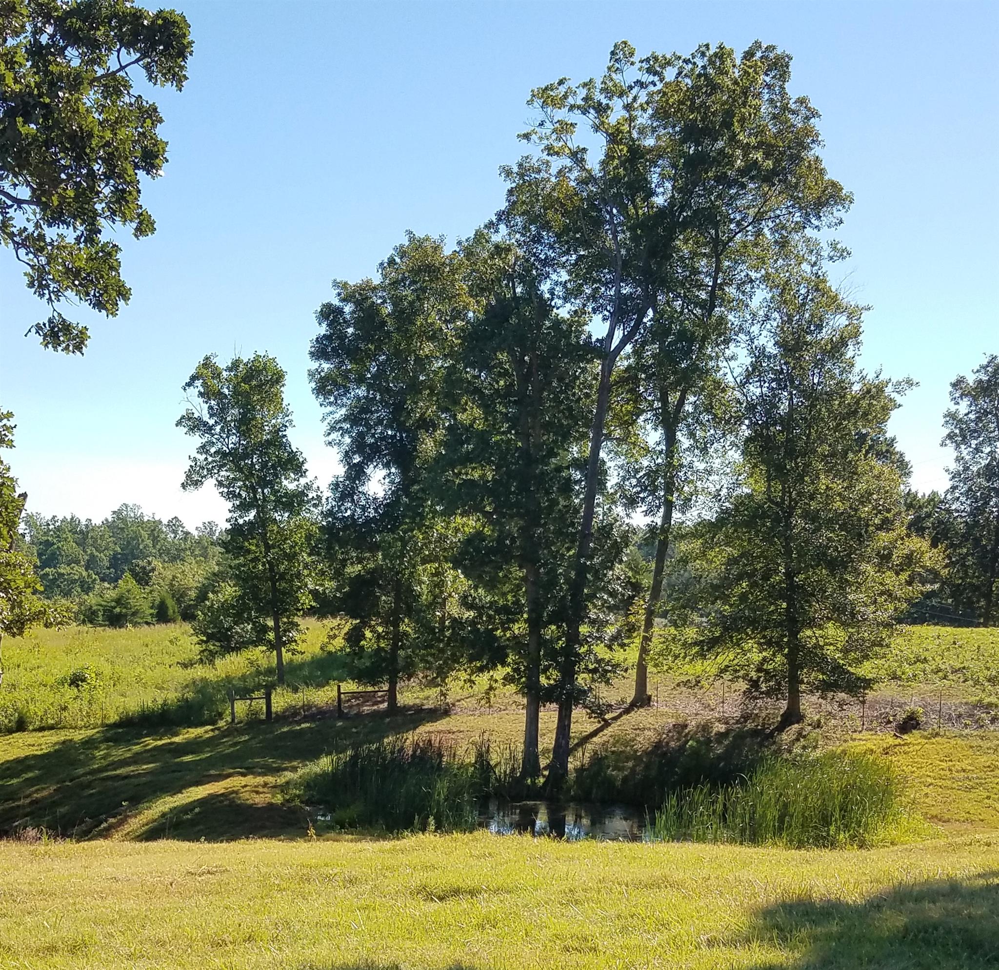 1550 Brummit Road Charlotte, TN 37036 - Photo 11 of 21 Gallery Image 11