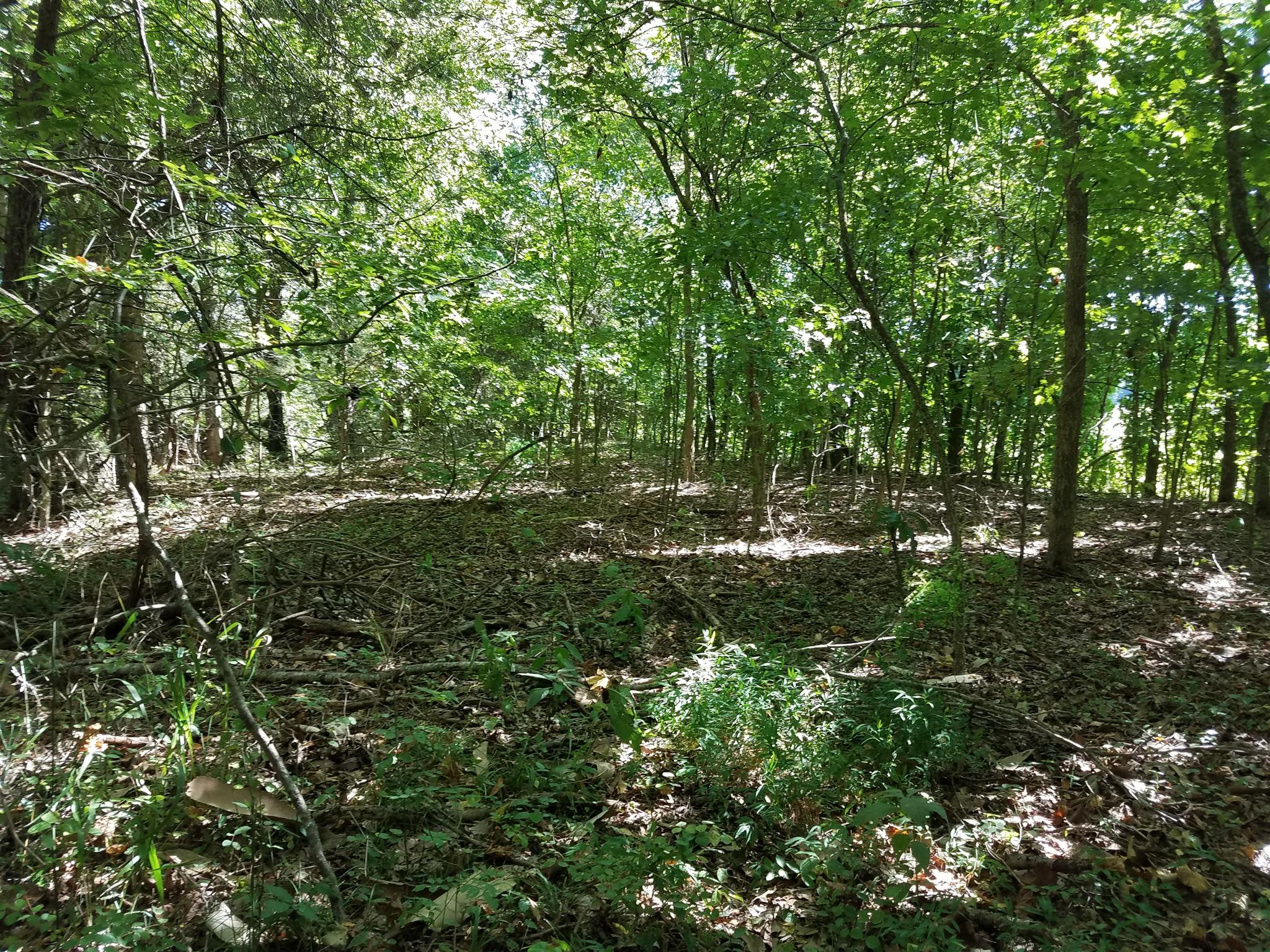 1550 Brummit Road Charlotte, TN 37036 - Photo 17 of 21 Gallery Image 17