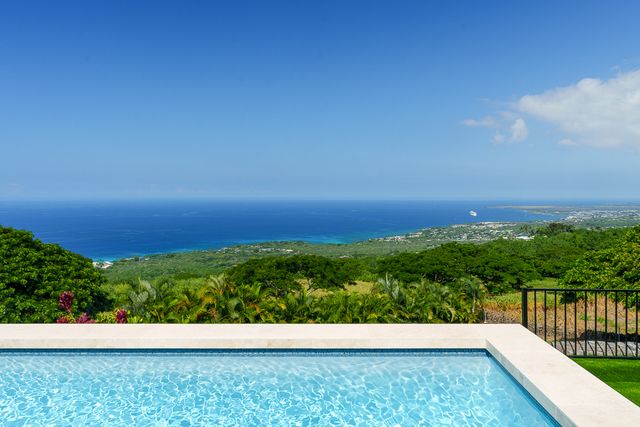 a view of yard with large trees and grass