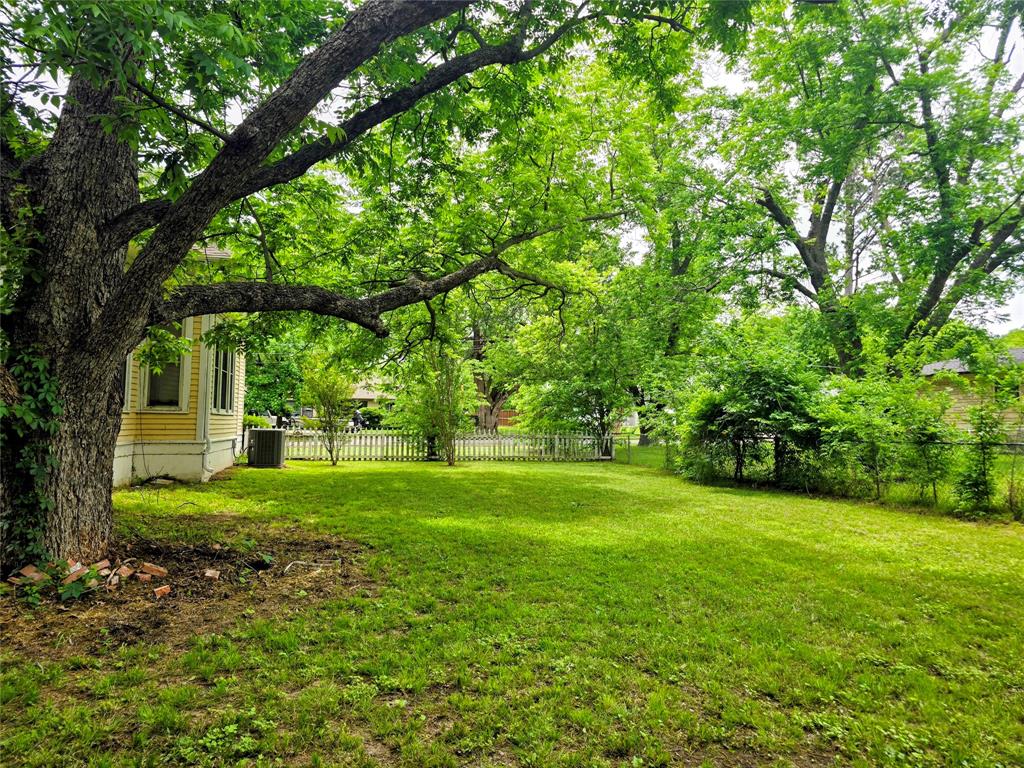 324 East Liberty Street Pilot Point, TX 76258 - Photo 16 of 22 Backyard