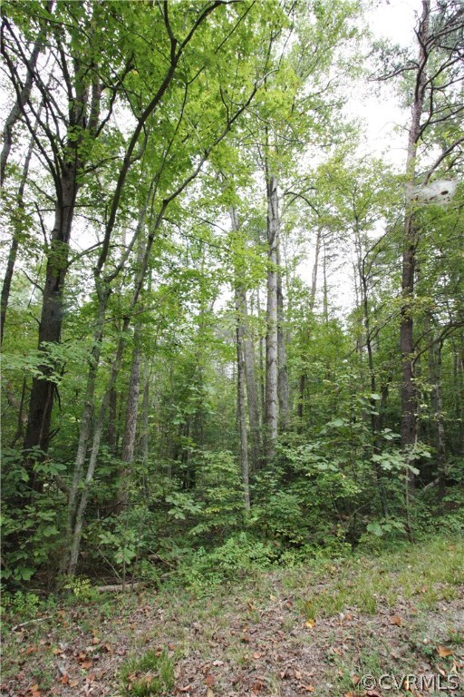 Lot 2 Mabelton Road Montpelier, VA 23192 - Photo 3 of 6 Gallery Image 3