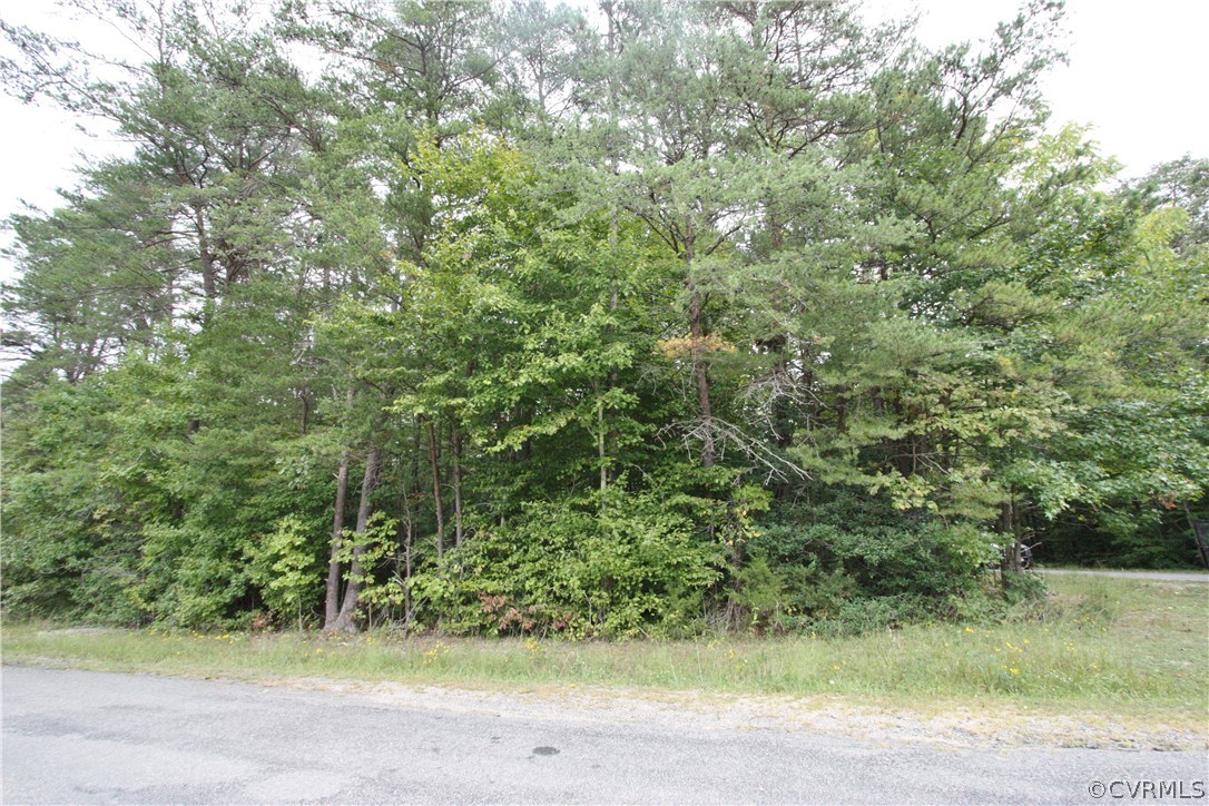 Lot 2 Mabelton Road Montpelier, VA 23192 - Photo 6 of 6 Gallery Image 6
