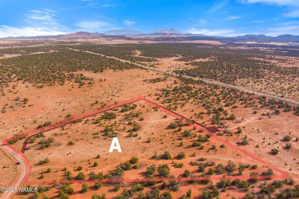 a view of dirt field and trees
