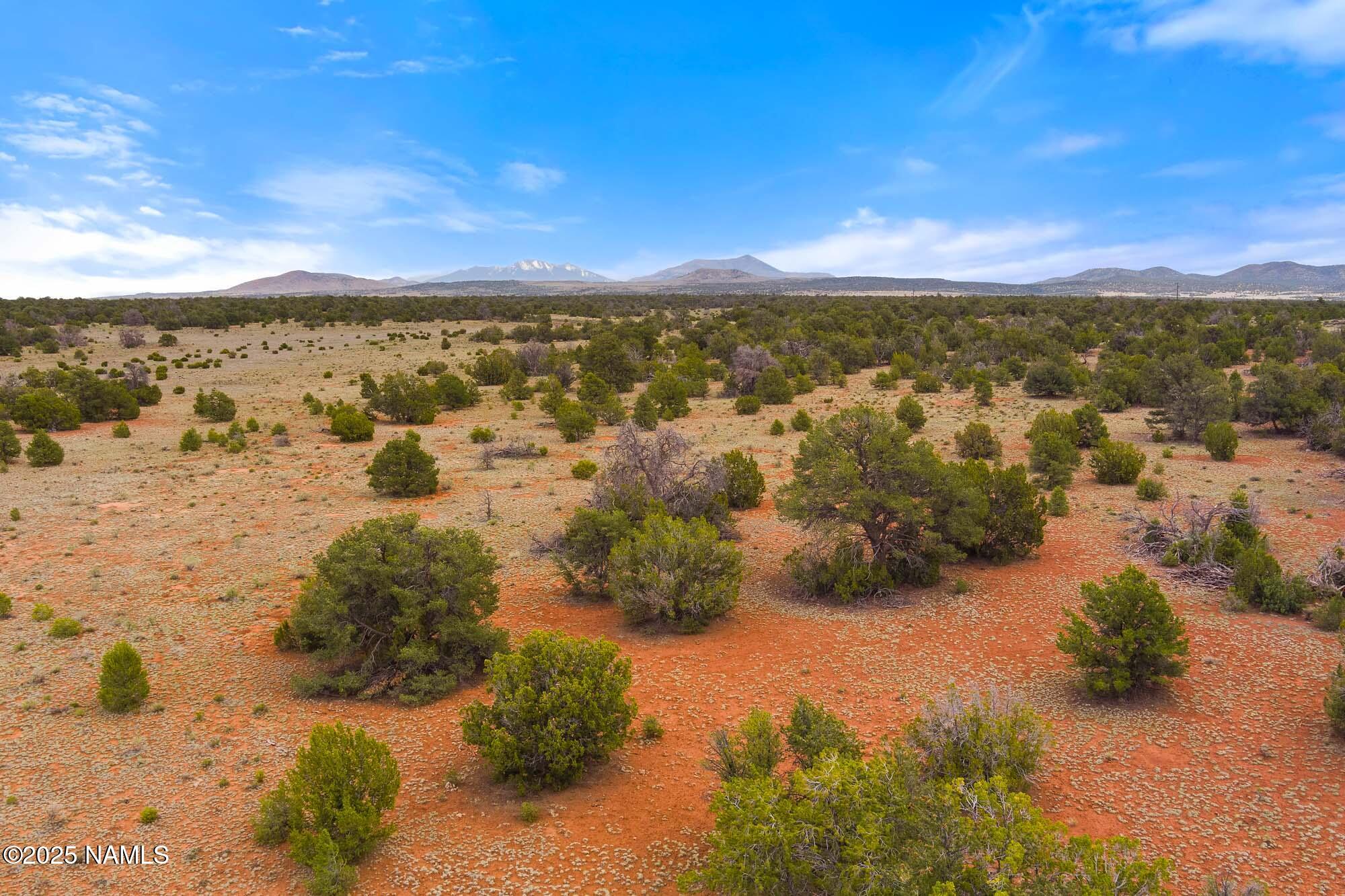 8449 Water Tank Circle, Unit A Williams, AZ 86046 - Photo 14 of 56 MAX_0041