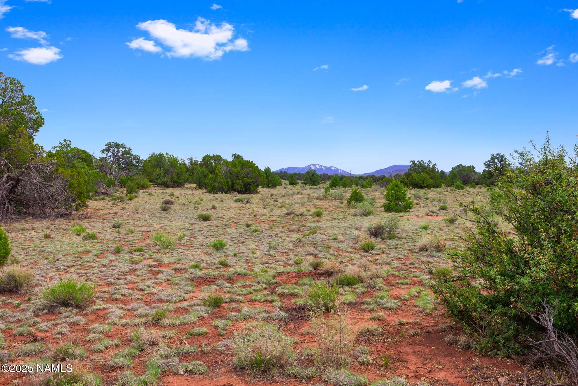 8449 Water Tank Circle, Unit A Williams, AZ 86046 - Photo 18 of 56 a view of a yard with an empty space and a mountain