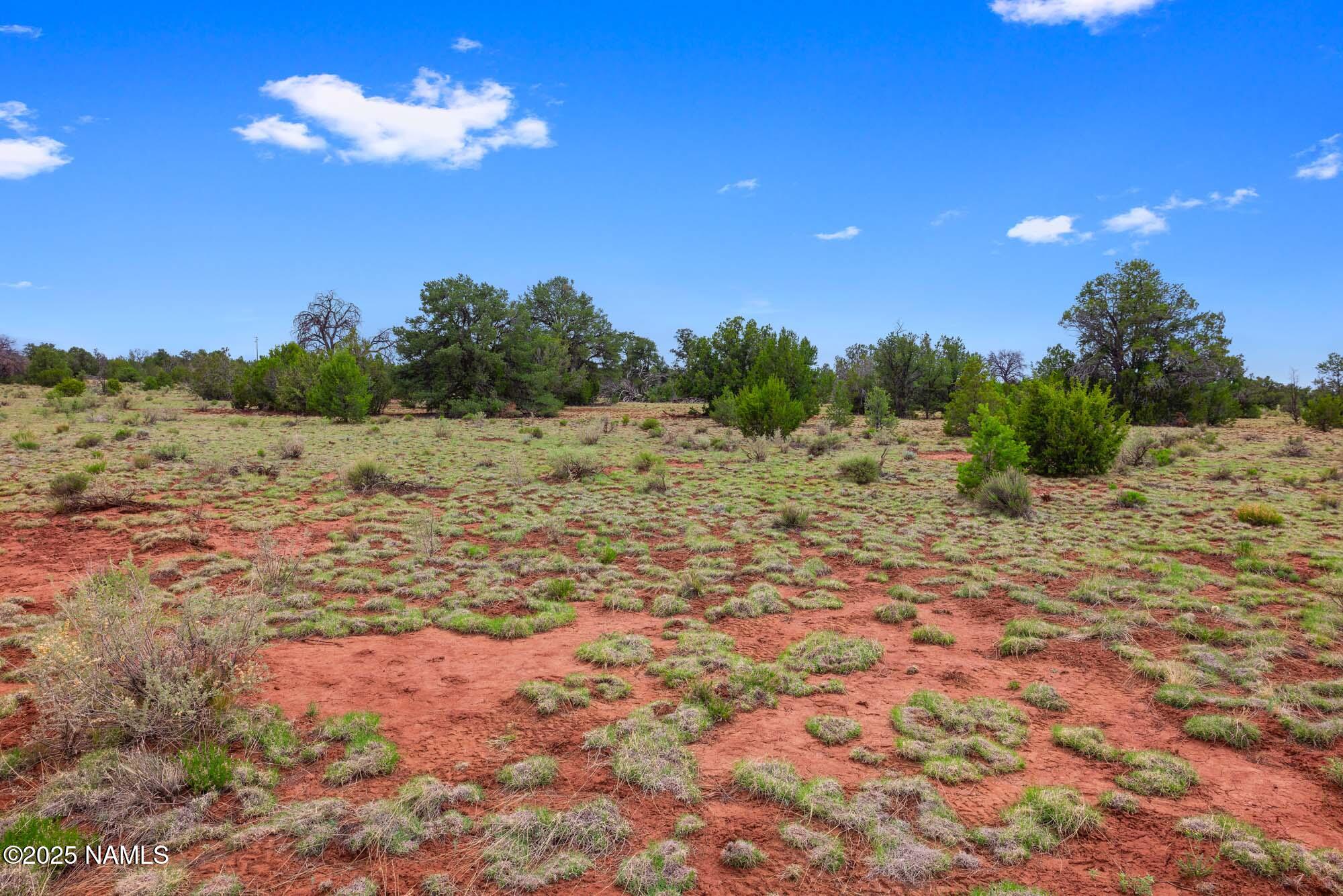 8449 Water Tank Circle, Unit A Williams, AZ 86046 - Photo 20 of 56 a view of a yard with a tree