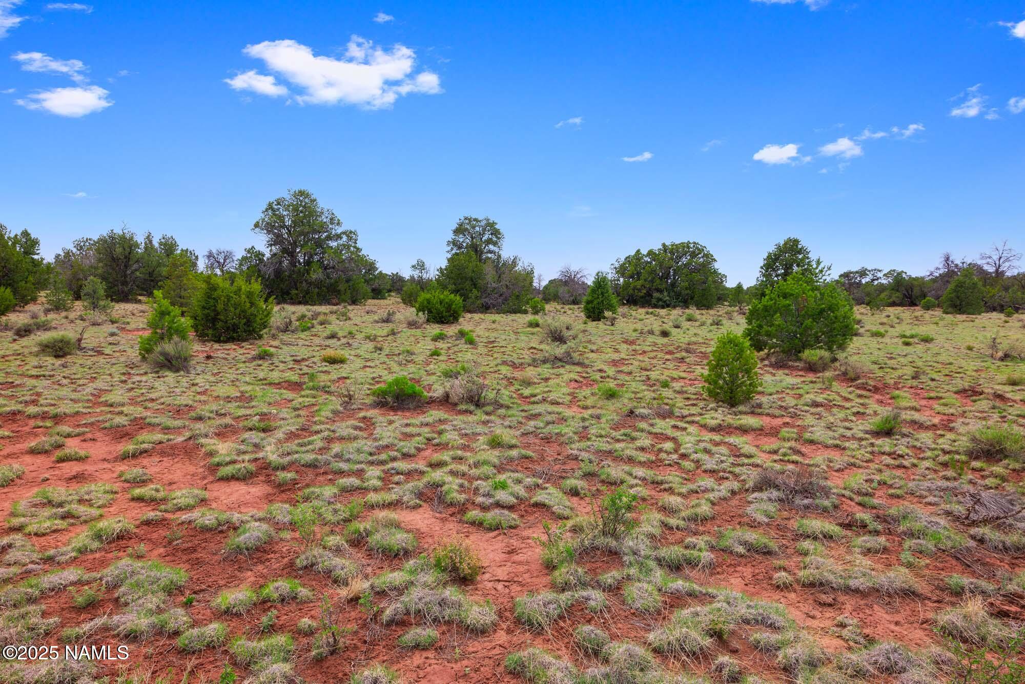 8449 Water Tank Circle, Unit A Williams, AZ 86046 - Photo 21 of 56 a view of a dry yard with trees