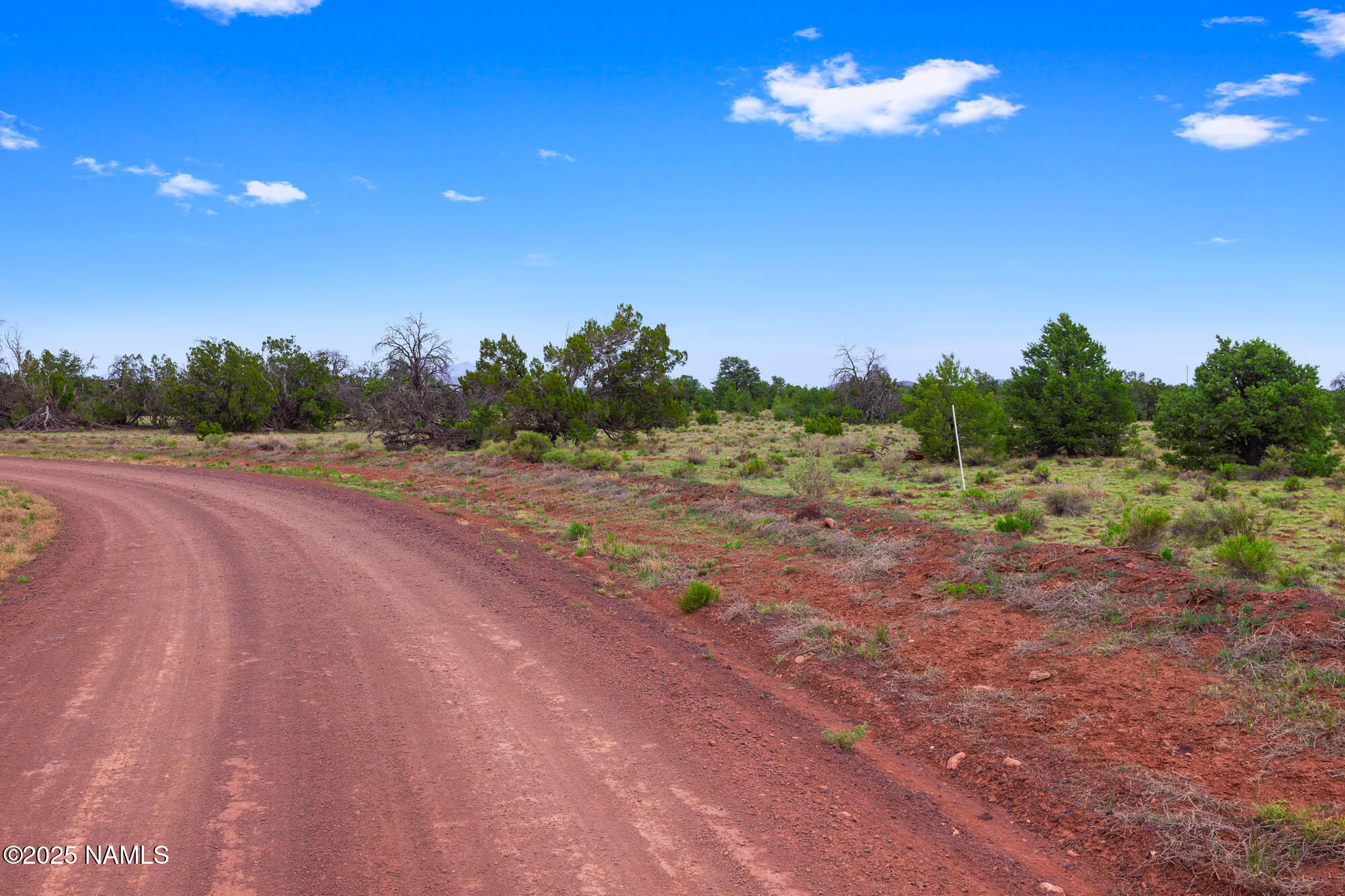 8449 Water Tank Circle, Unit A Williams, AZ 86046 - Photo 22 of 56 a view of a big room with a big yard