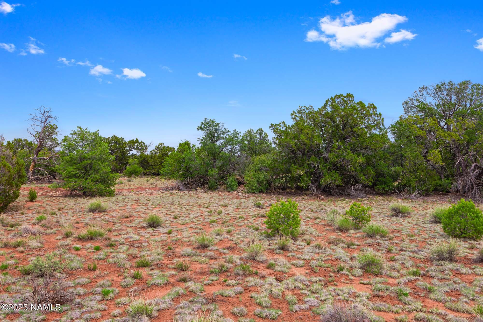 8449 Water Tank Circle, Unit A Williams, AZ 86046 - Photo 23 of 56 a view of a yard with a tree