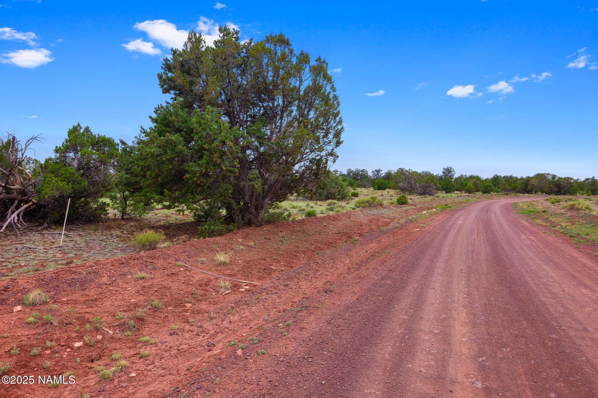 8449 Water Tank Circle, Unit A Williams, AZ 86046 - Photo 26 of 56 a view of a yard