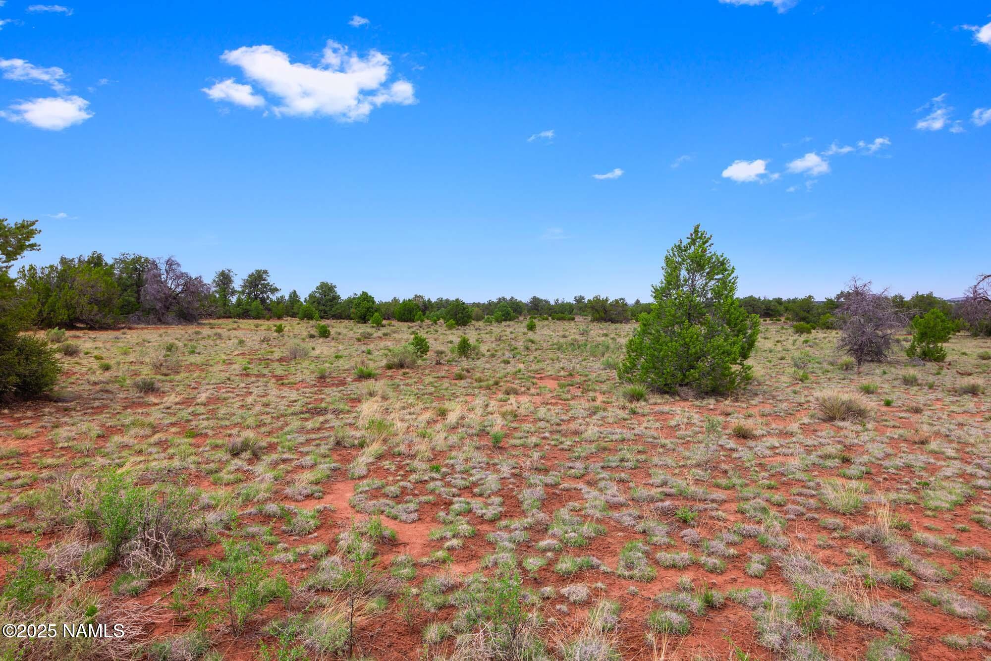 8449 Water Tank Circle, Unit A Williams, AZ 86046 - Photo 27 of 56 a view of a yard with an tree