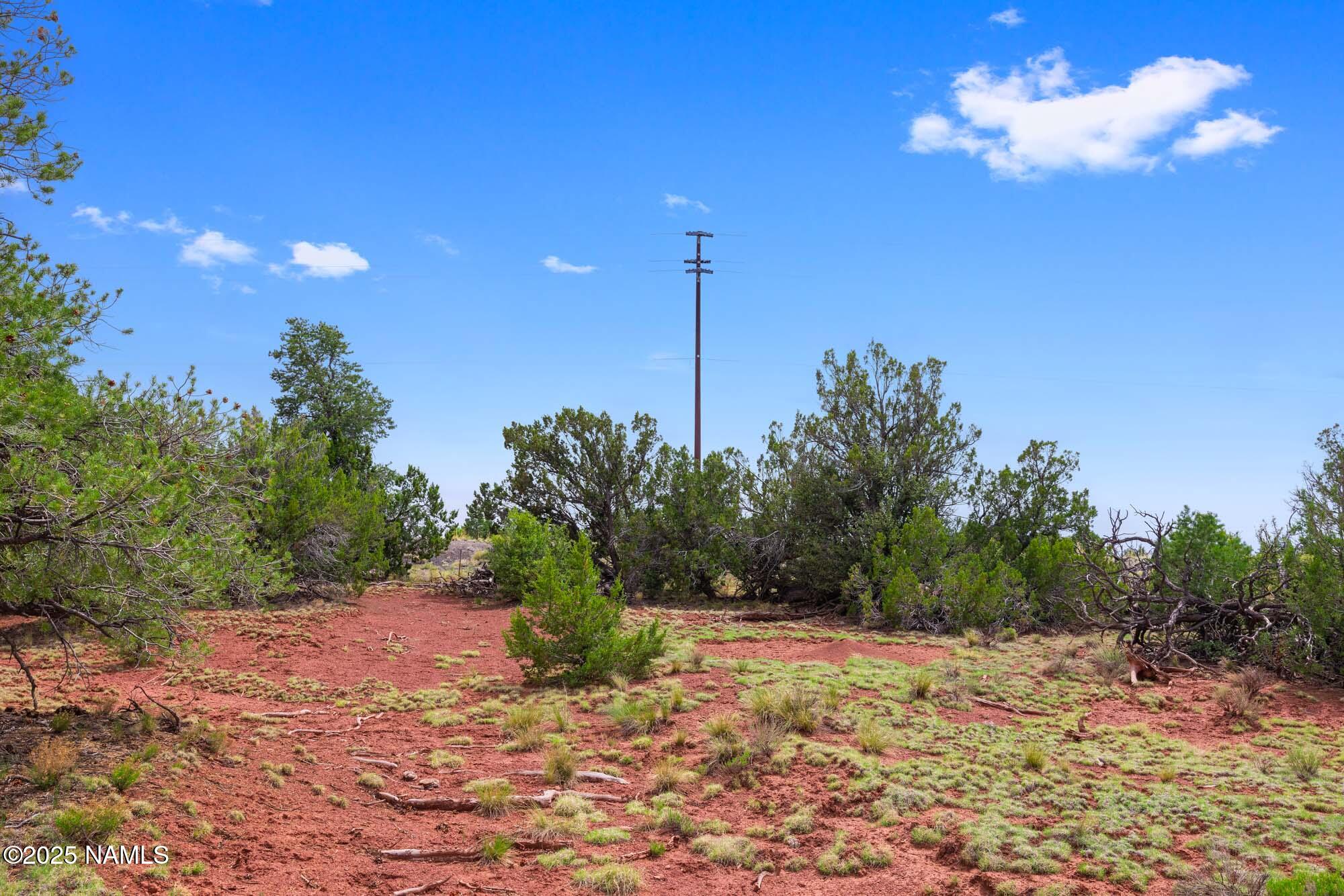 8449 Water Tank Circle, Unit A Williams, AZ 86046 - Photo 28 of 56 a view of a yard with an tree