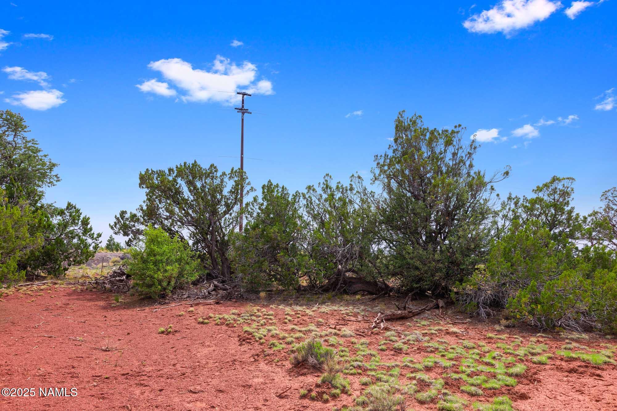 8449 Water Tank Circle, Unit A Williams, AZ 86046 - Photo 31 of 56 a view of a house with a tree in a yard